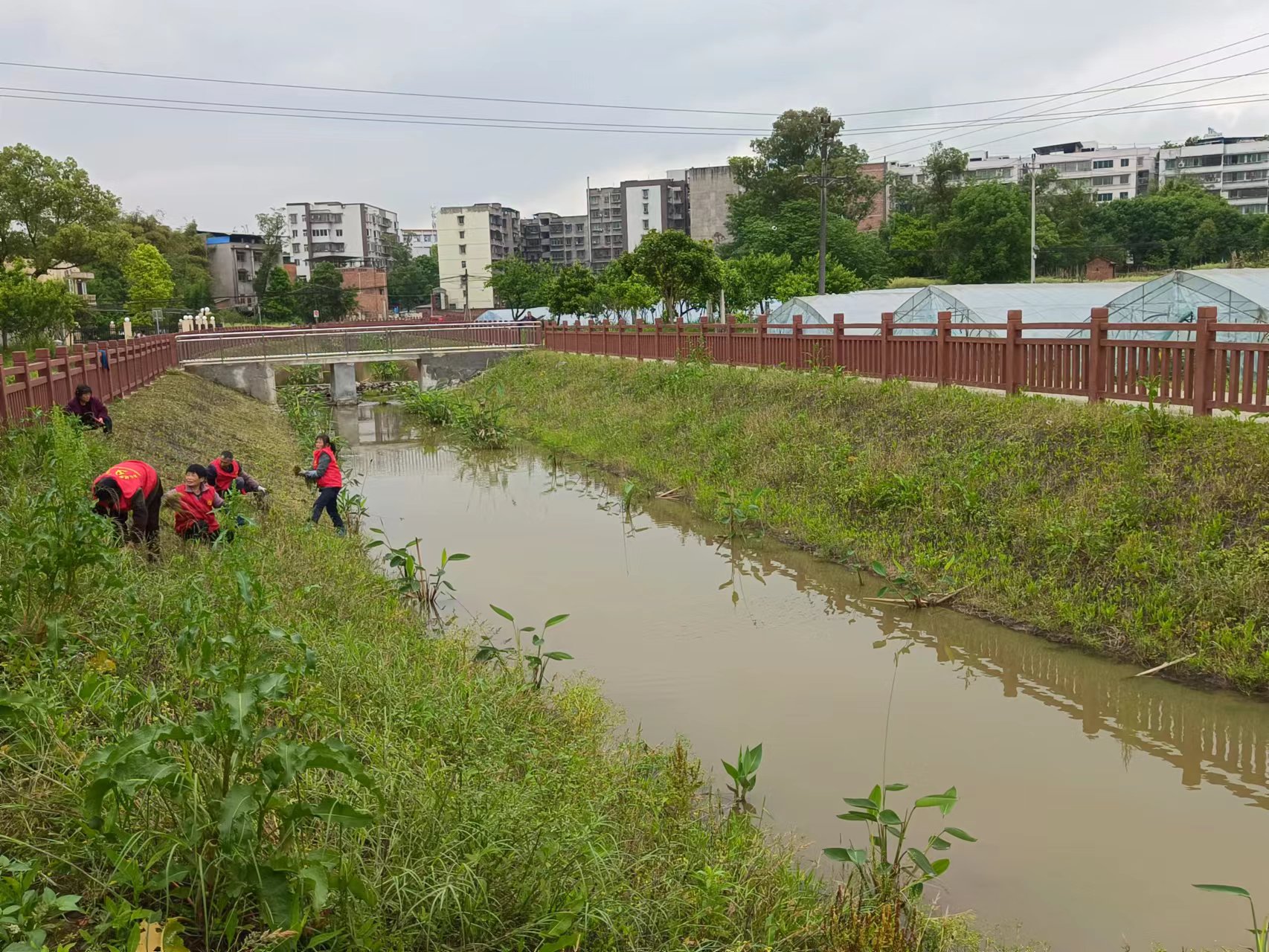 永川区陈食街道图片