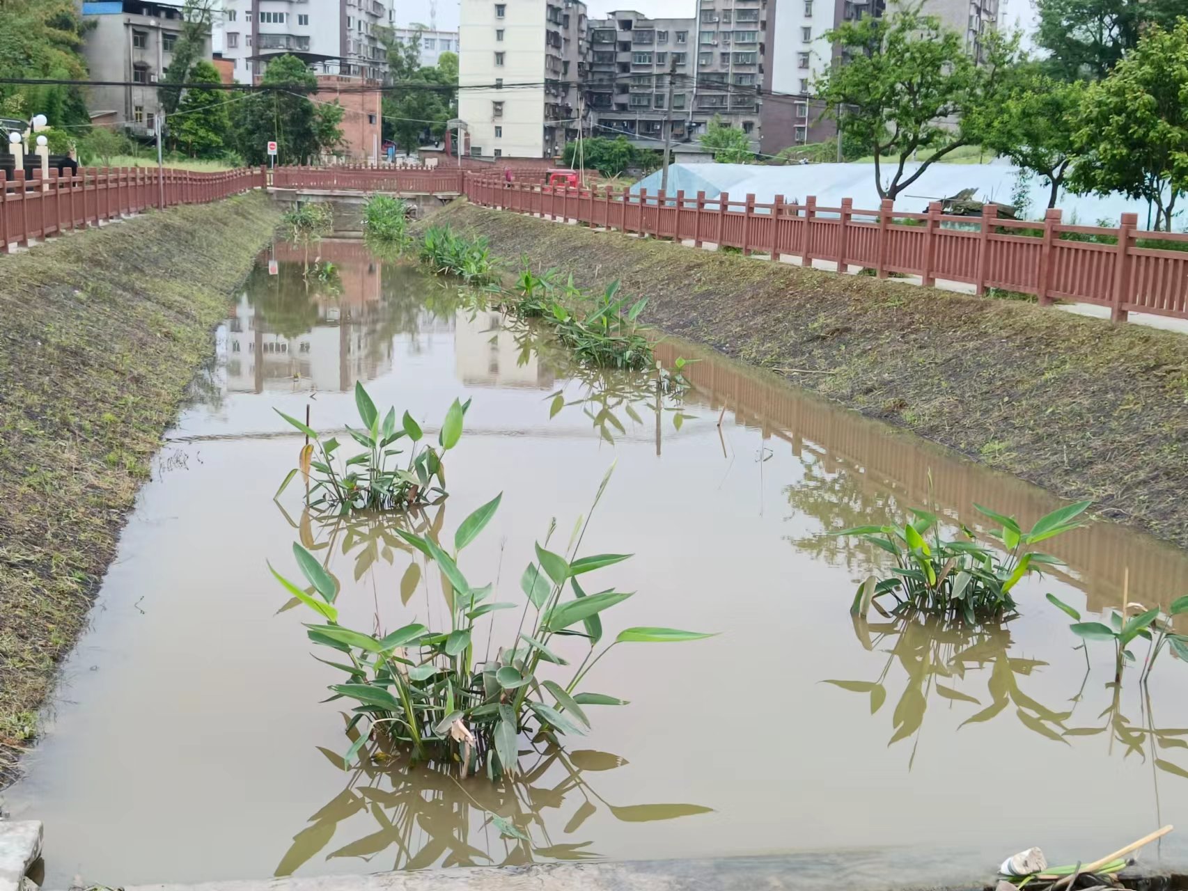 永川区陈食街道图片