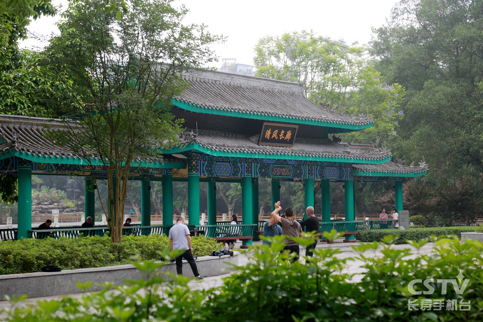 凤山公园：老地标焕发新生机3 (复制).jpg