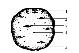 图片.png 图片.png