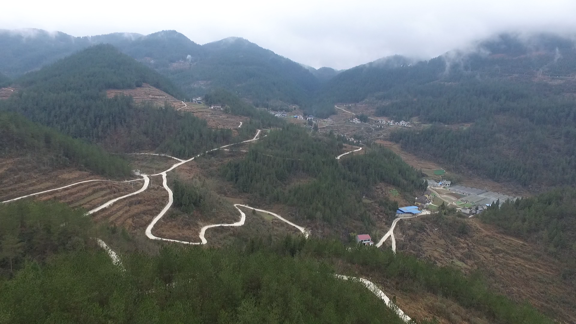 DJI_0041[00_00_06][20220617-112933](1).png
