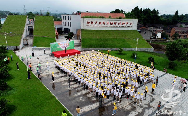 450名中学生走进忠县三峡橘乡田园综合体开展劳动教育实践活动