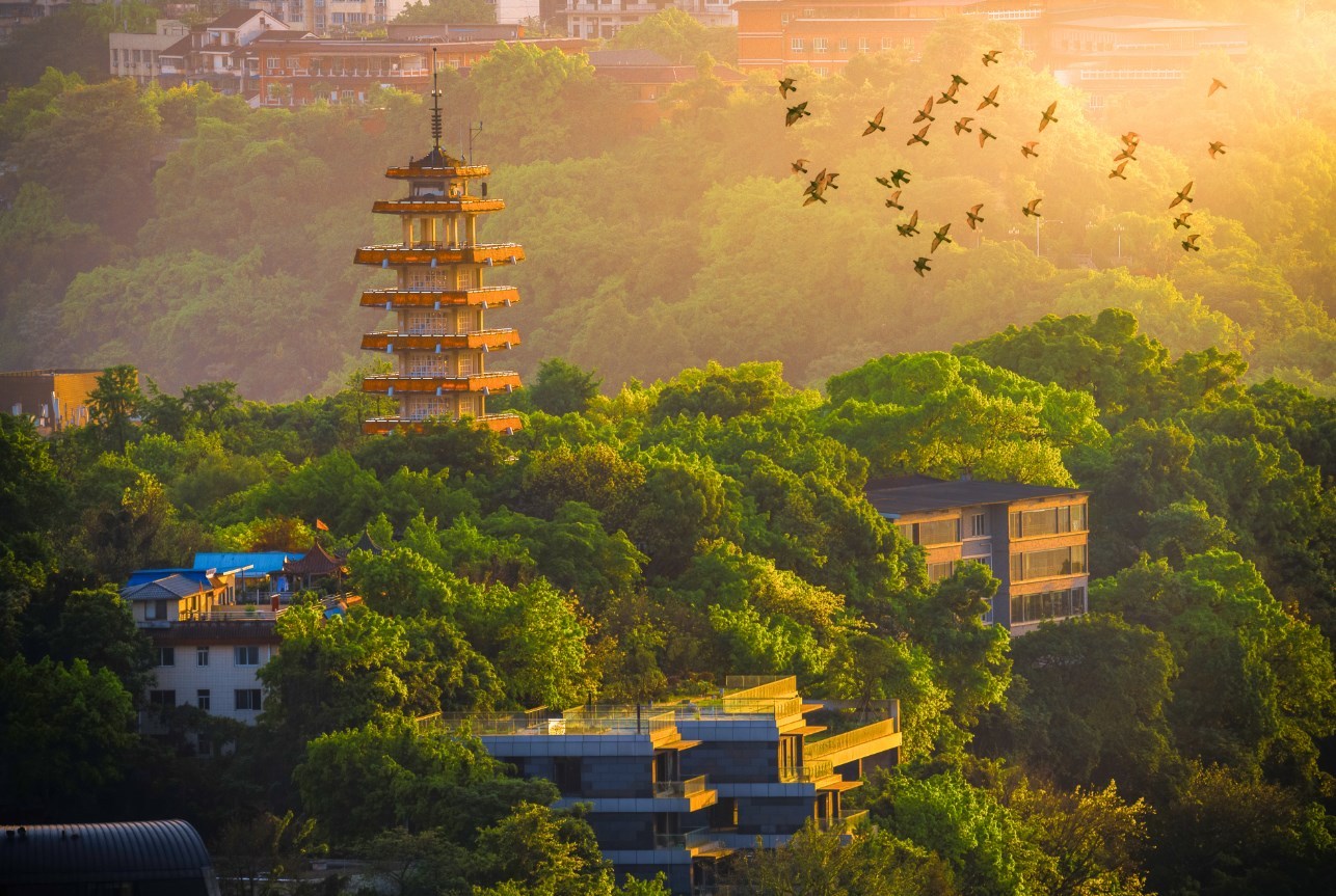 鹅岭瞰胜楼图片