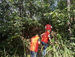 云阳镇：新时代文明实践志愿者用“党旗红”守护“森林绿“
