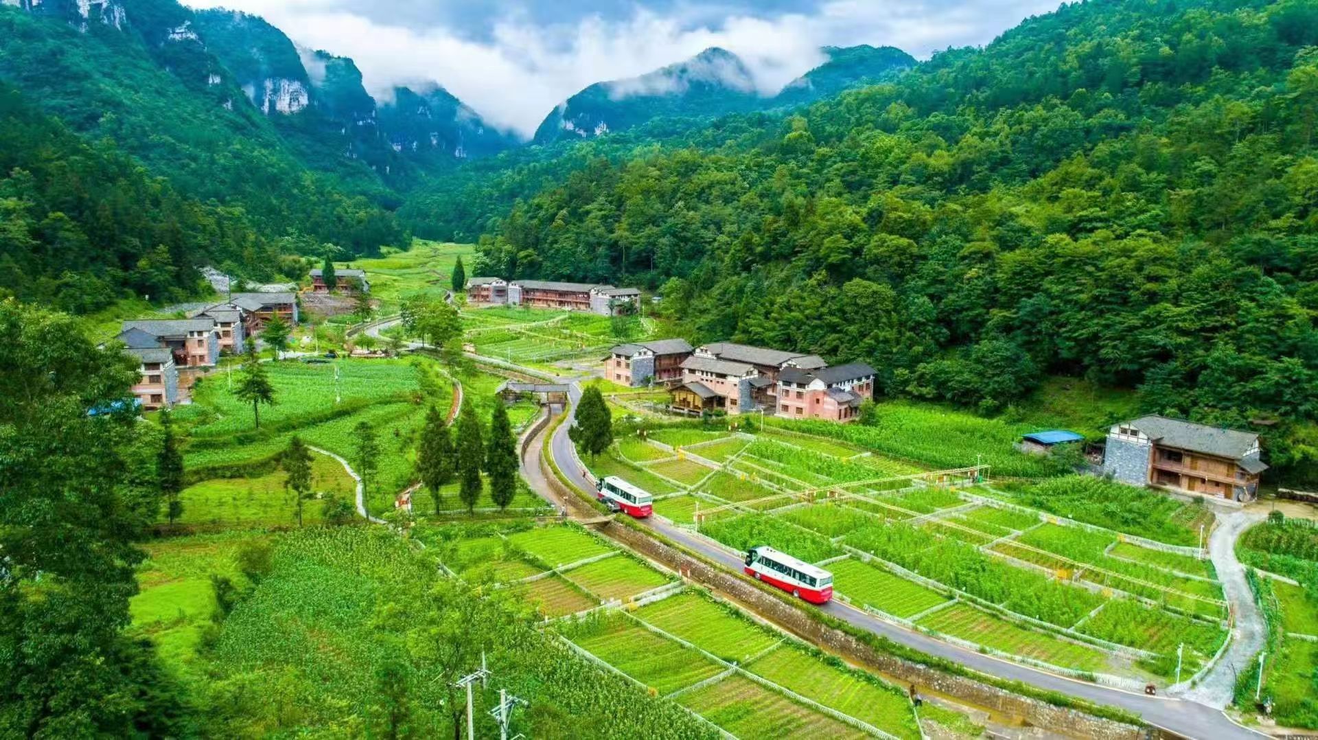 在希望的田野上以房联营以地入股彭水县黄地峡村民端上了生态碗