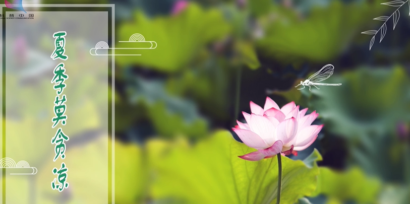 【夏季养生】夏季莫贪凉