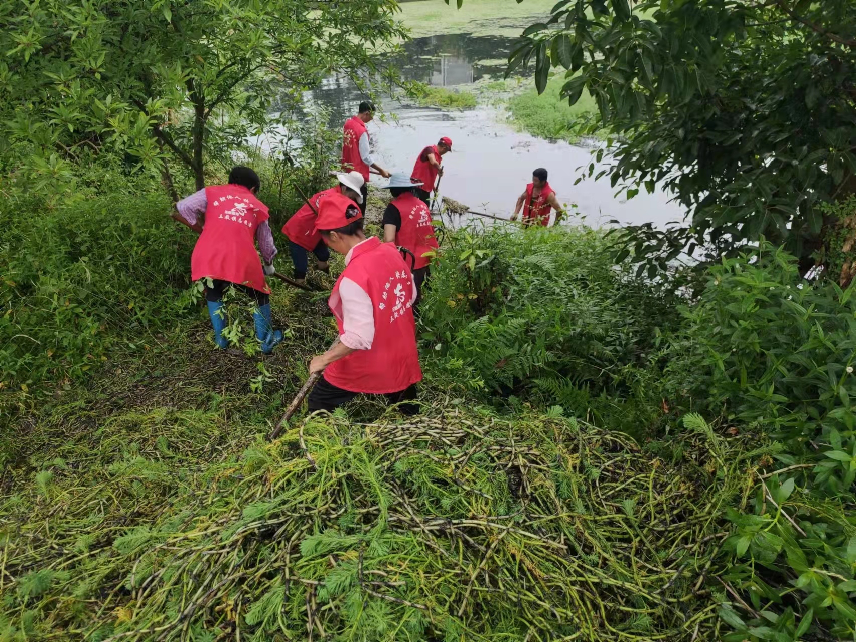 6月陡沟河开展河道清漂志愿活动.png