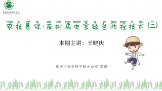 【农科进行时】茶树病虫害绿色防控技术（二）