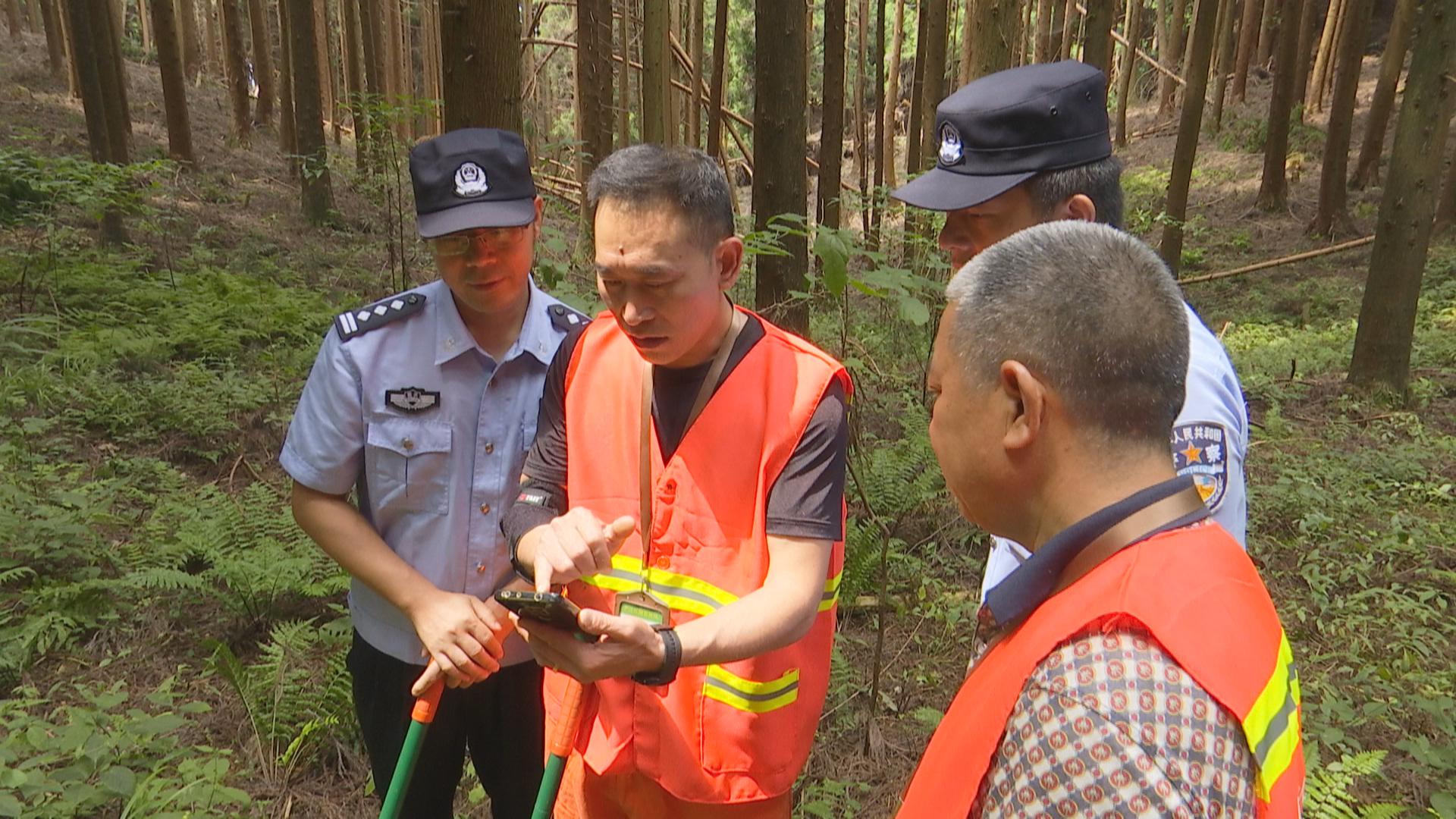 连晴高温‖加强林区管控　筑牢森林“防火墙”