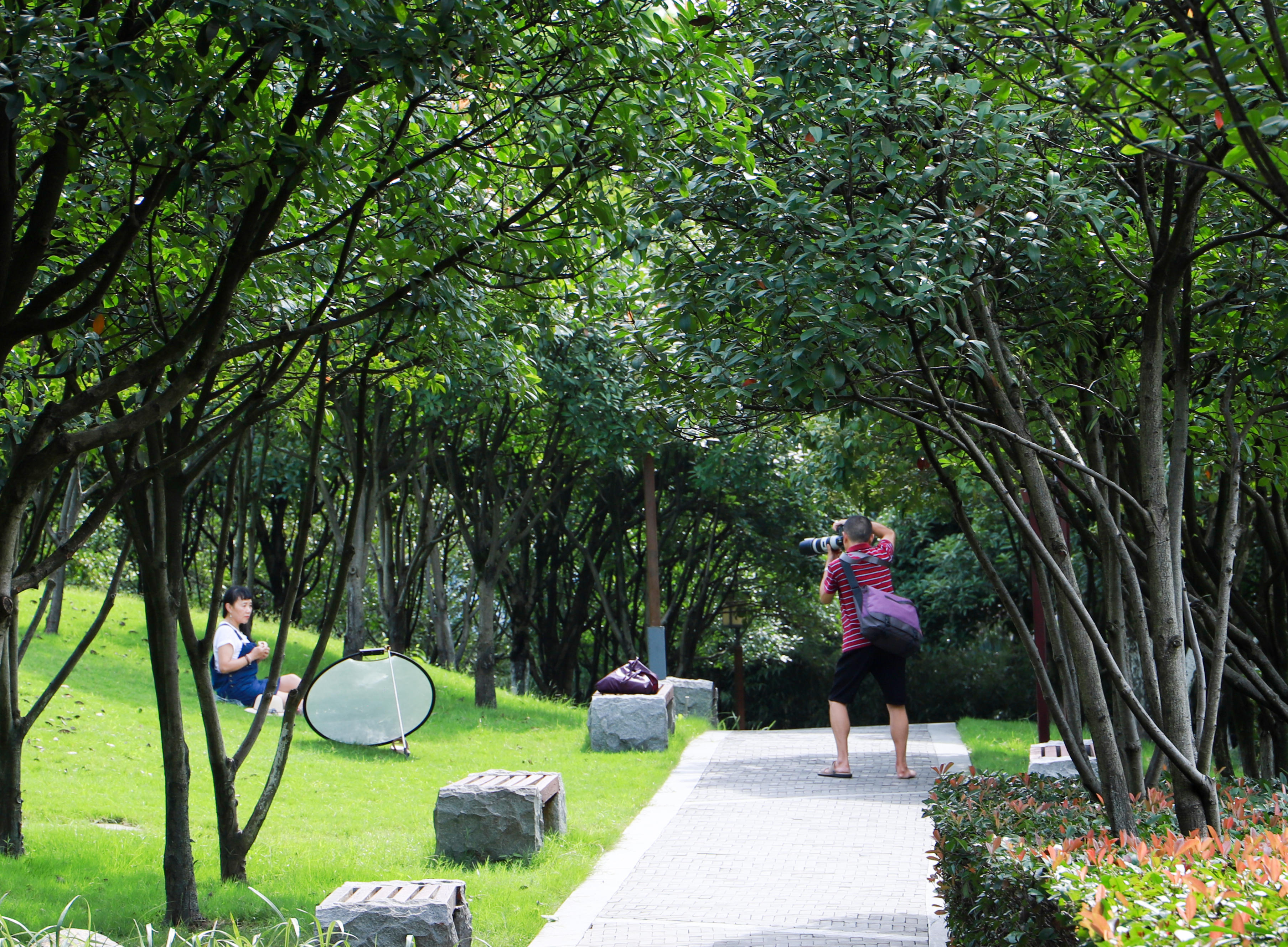游客在鸿恩寺森林公园内游玩拍照。（摄影：唐维迪）