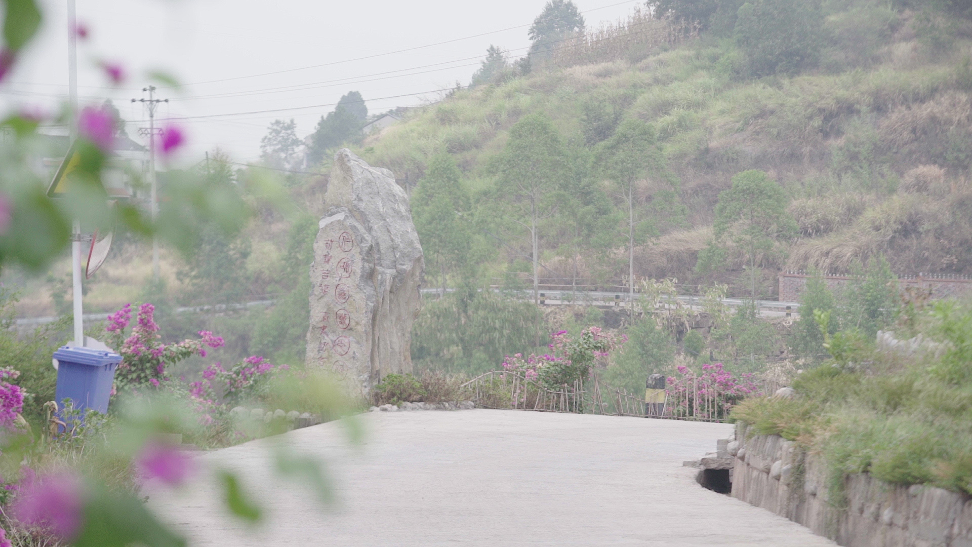 在綦江區(qū)趕水鎮(zhèn)香山村，道路兩旁不僅有鮮花點綴，還有精心打造的花壇。（謝天驕 攝）