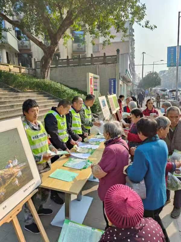 秋沙鸭活动.jpg