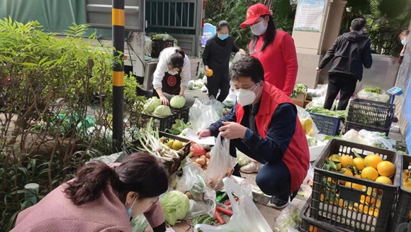 11月16日，南岸区雅居乐国际花园小区，志愿者陈立正在为居民分发生活物资。重庆市人民防空办公室供图  华龙网发