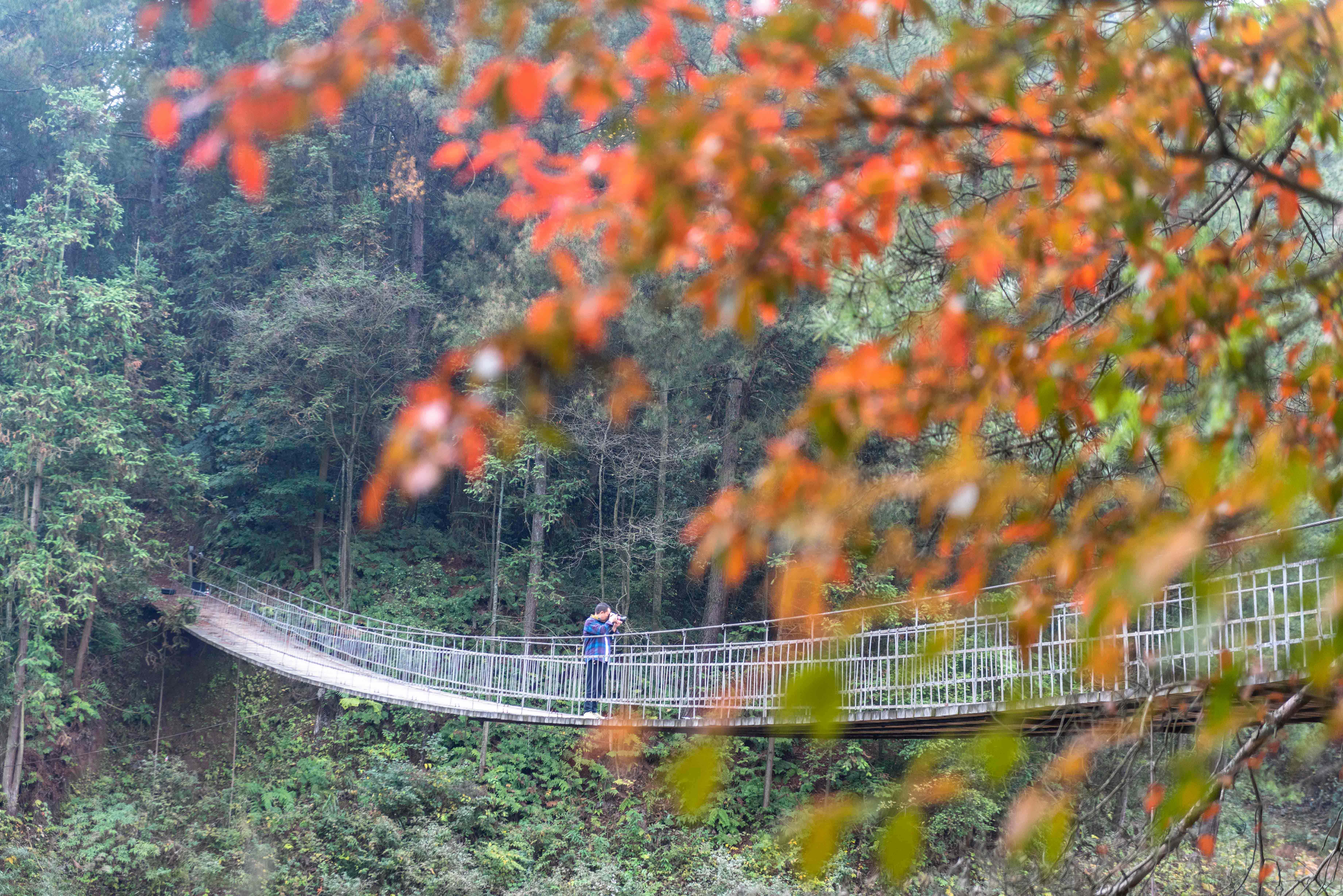 打通镇大罗梅家沟水库的吊桥上，一位摄影爱好者正在拍摄美景。（摄影：吴先勇）