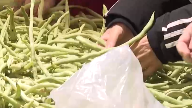 熊猫惊魂