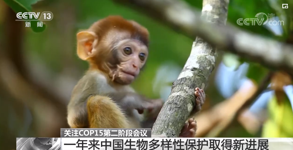 管道