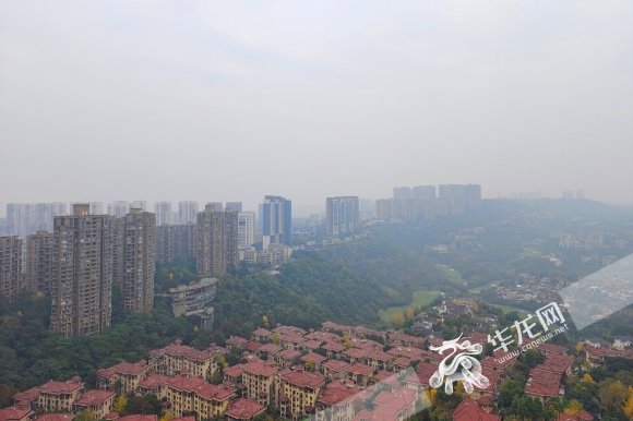 12月10日，重庆中心城区阴天，体感有点凉。华龙网-新重庆客户端记者 石涛 摄