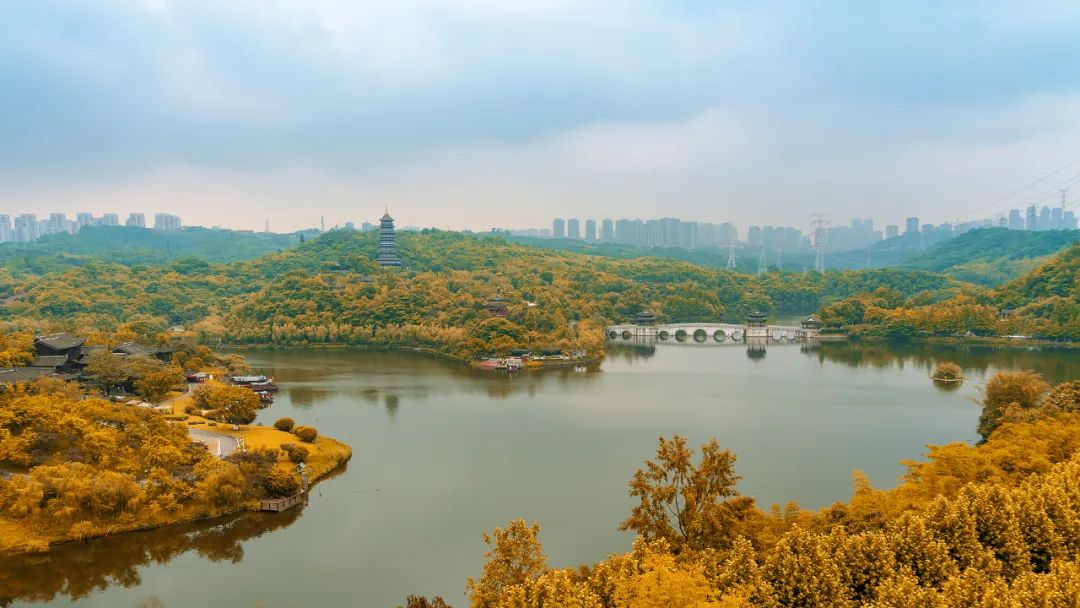 181家重庆超六成a级景区恢复开放