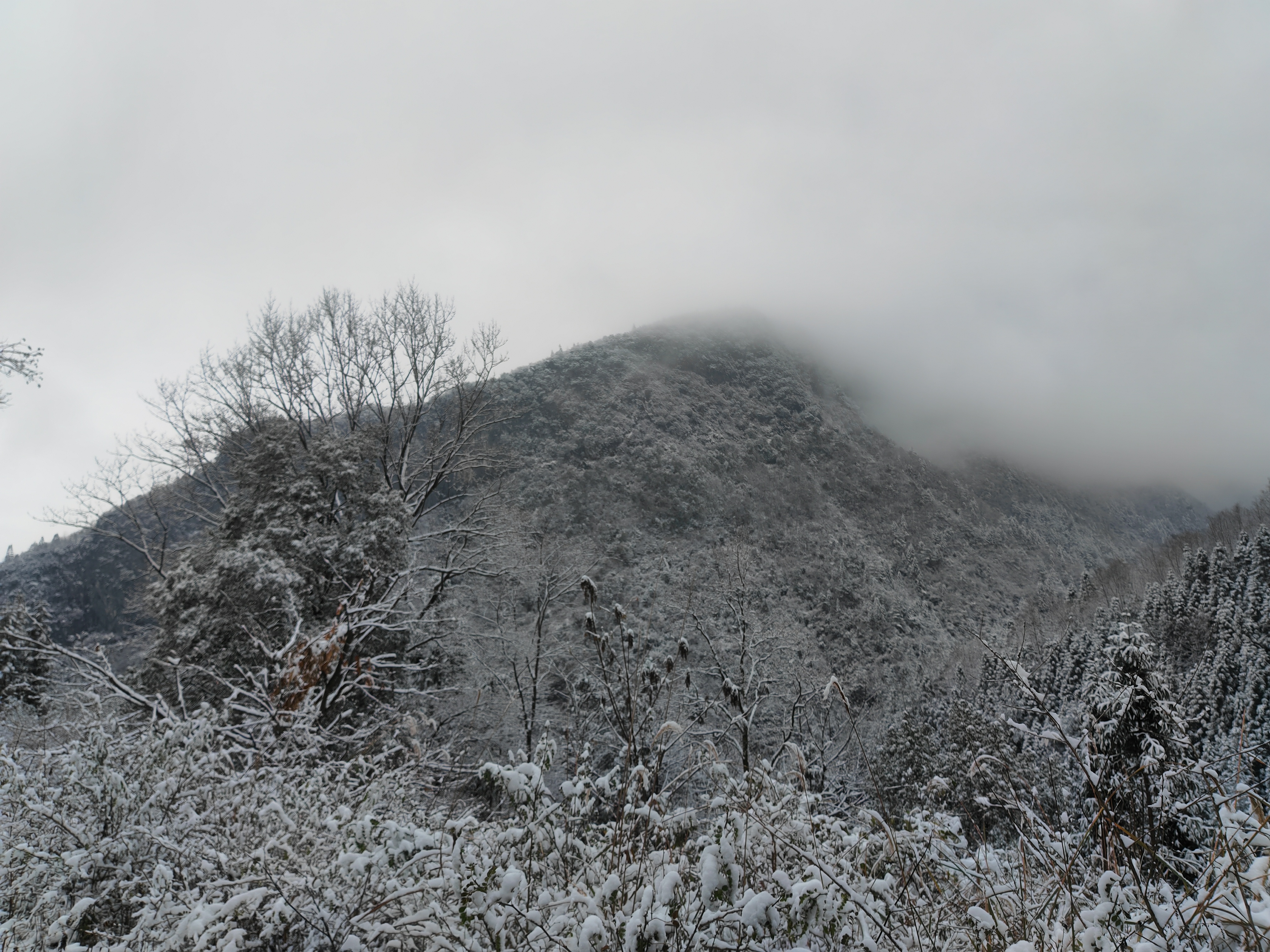 雪1.jpg