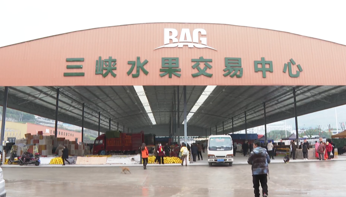 QQ截图20230104141217.png