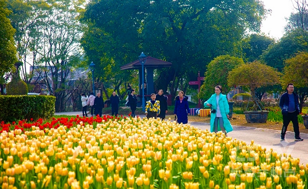 春节景区活动 (4) (复制).jpg