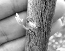 1675302378214.png 1675302378214.png