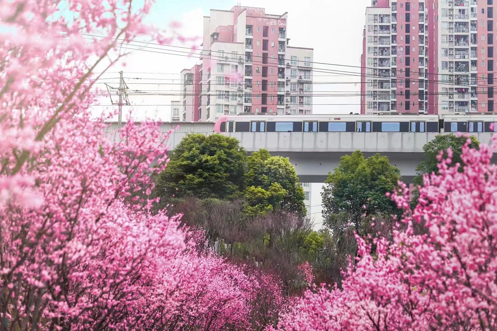 开往春天的列车。（龚梦源 摄）