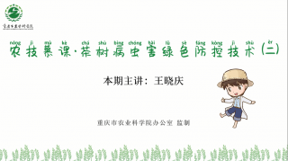 【农技慕课】茶树病虫害绿色防控技术（二）