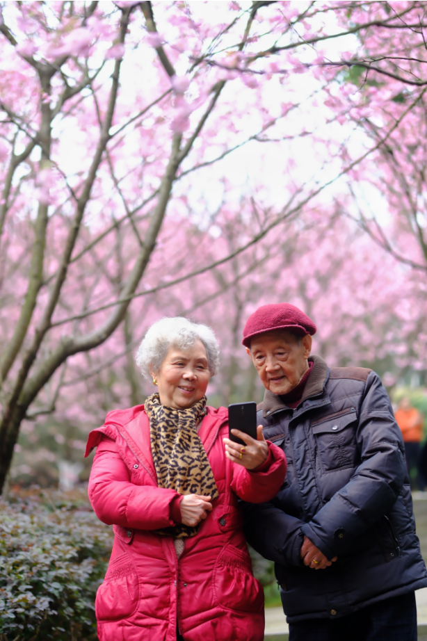 老两口观赏着樱花照片。（郭旭 摄）