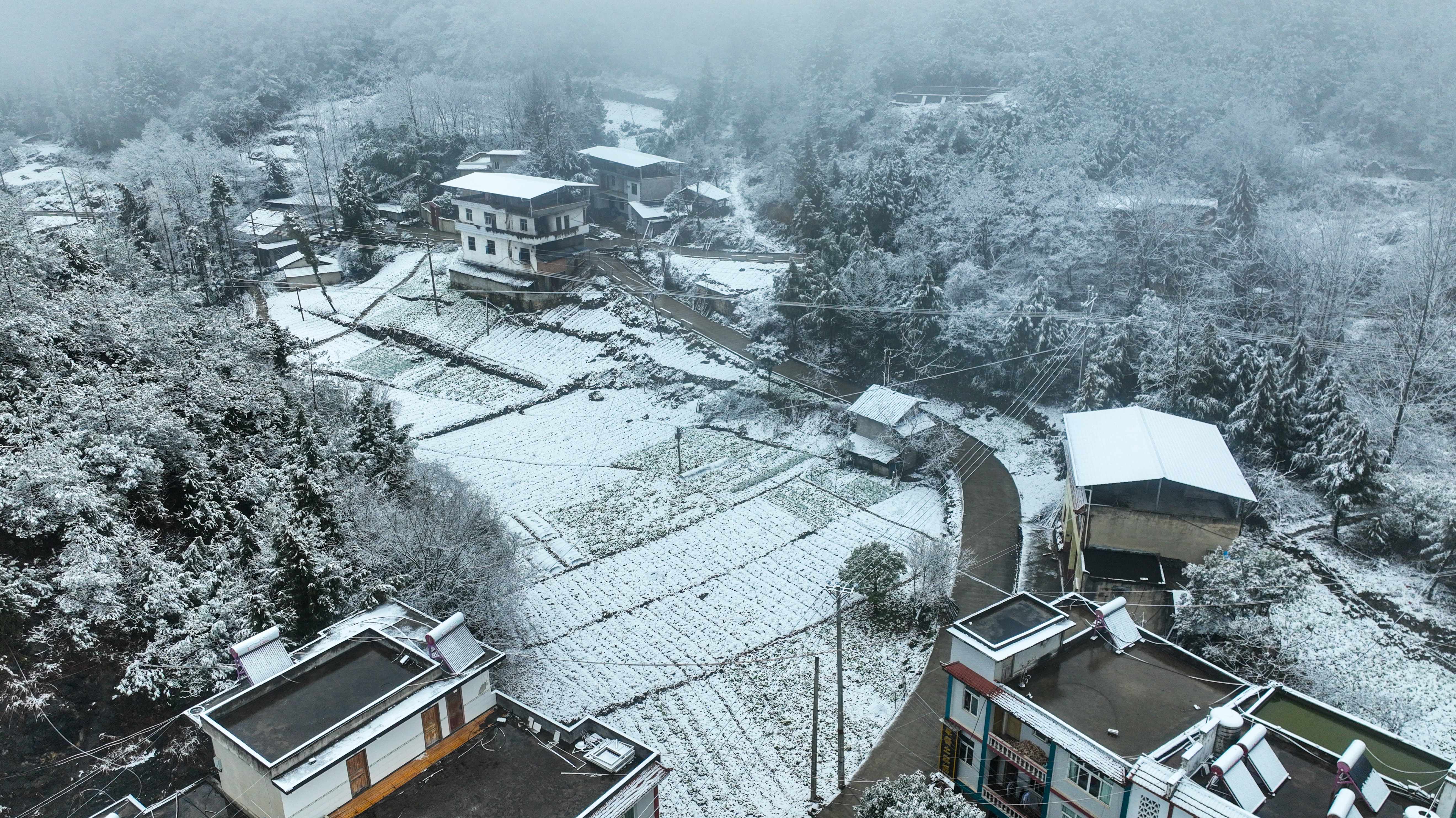 房屋顶、村道上、树枝上被白雪覆盖。（摄影：谭启云）
