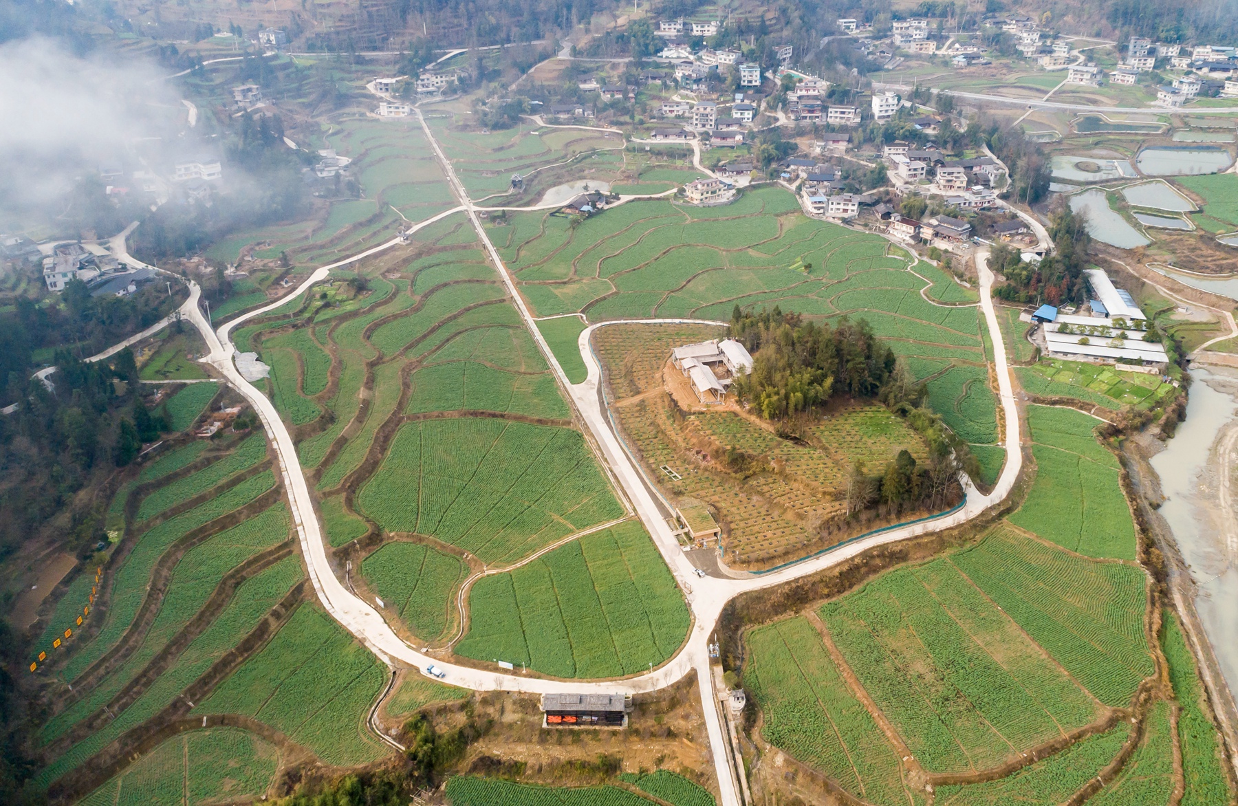 稻油轮作种植示范基地.jpg