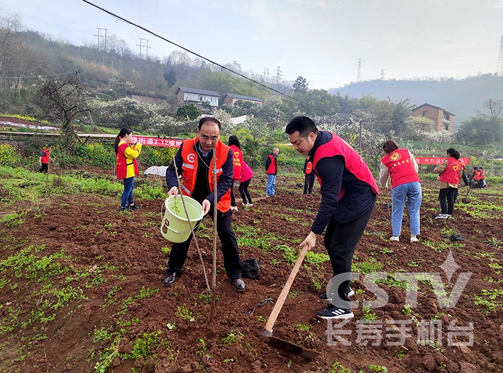 菩提街道植树活动 +李秋晨 (1) (复制).jpg