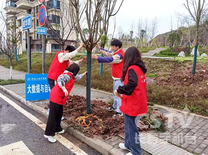 化工职业学院植树 (复制).jpg