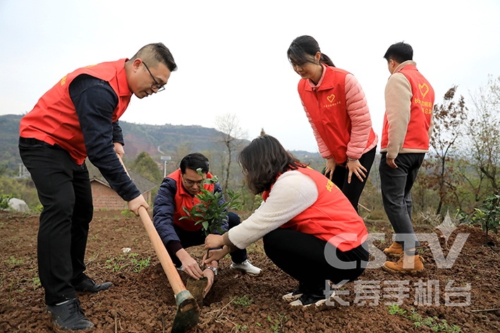 国网长寿供电公司联合区教育团工委、区国资委团委、重钢团委、朝阳社区走进东新村植树 +张娟 (1) (复制).jpg