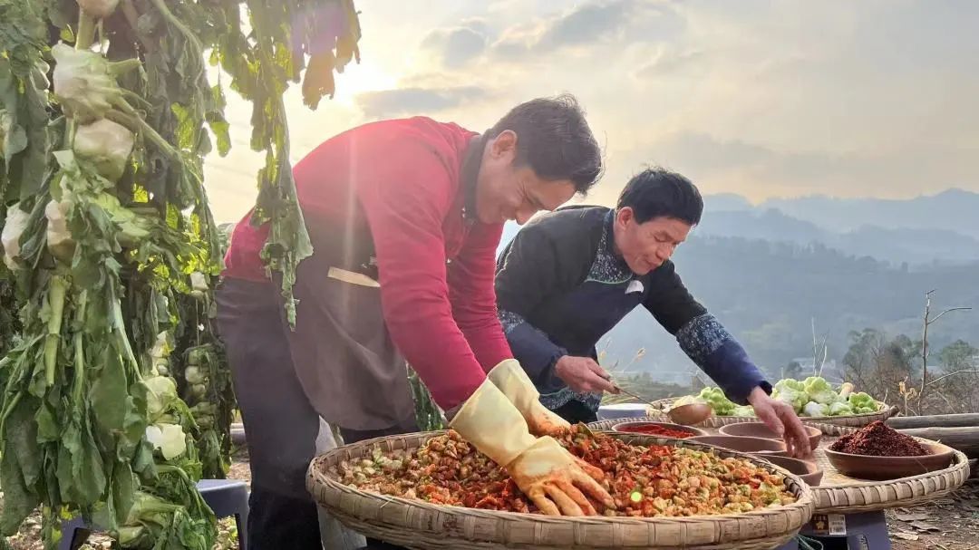 彭荣贵正在制作手工新鲜榨菜。黄河 摄