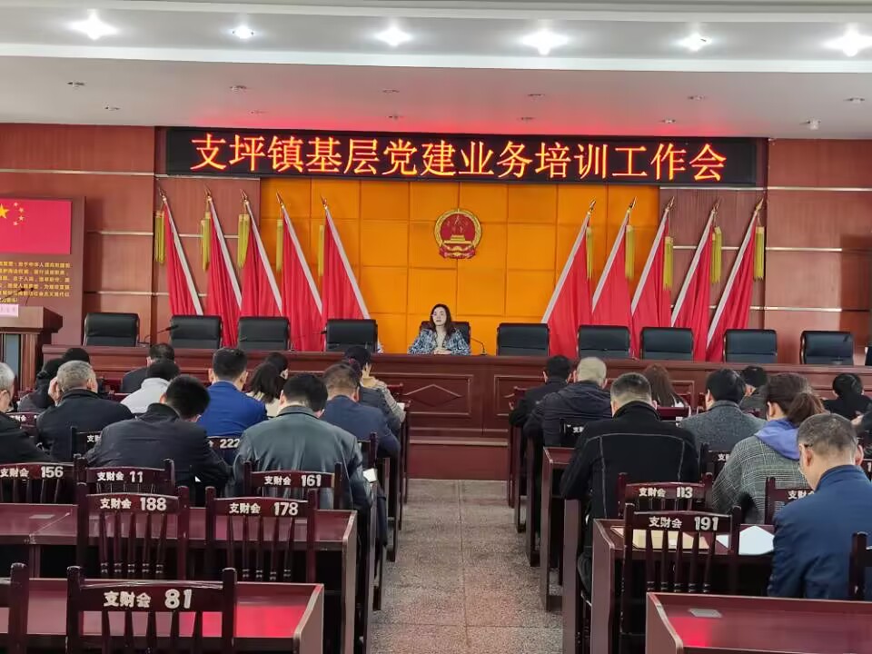 镇党委组织委员组织学习党的二十精神等内容.jpg