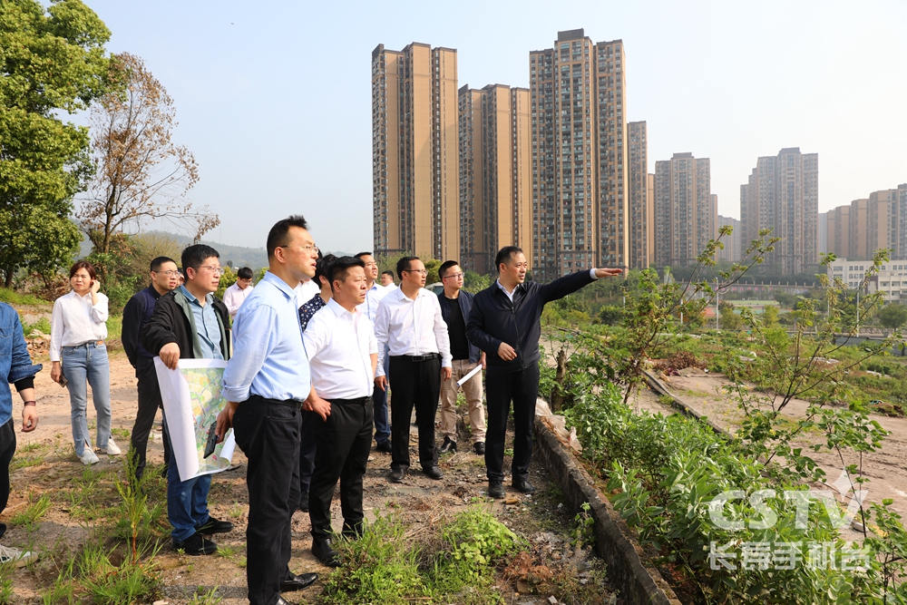 刘小强调研渝宜高速桃花下道口改造等项目 (5).jpg