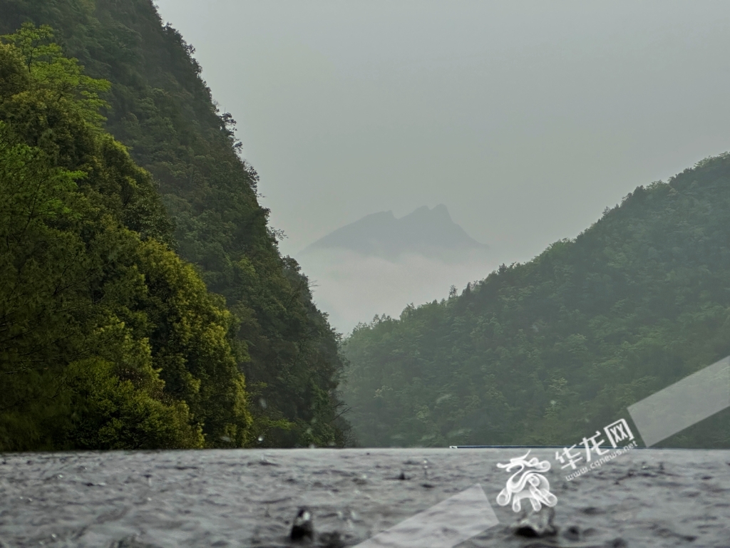 降雨天气让山间出现云雾。 华龙网-新重庆客户端记者 刘钊 摄