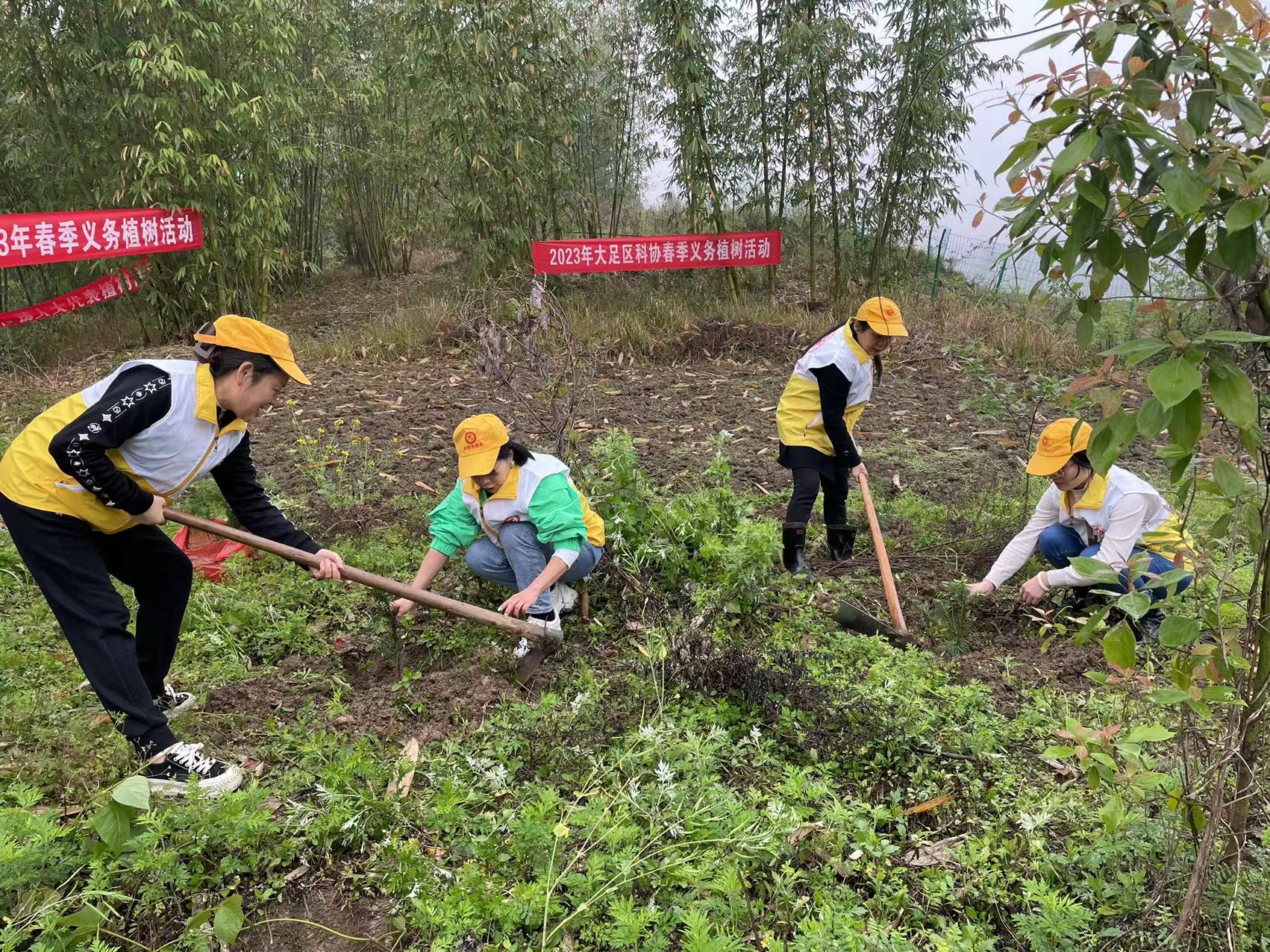 大足区科协开展2023年春季义务植树活动 (2).jpg