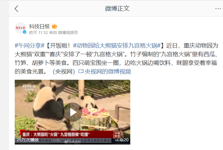 重庆动物园的大熊猫又火出圈了！获得央视等多家媒体关注
