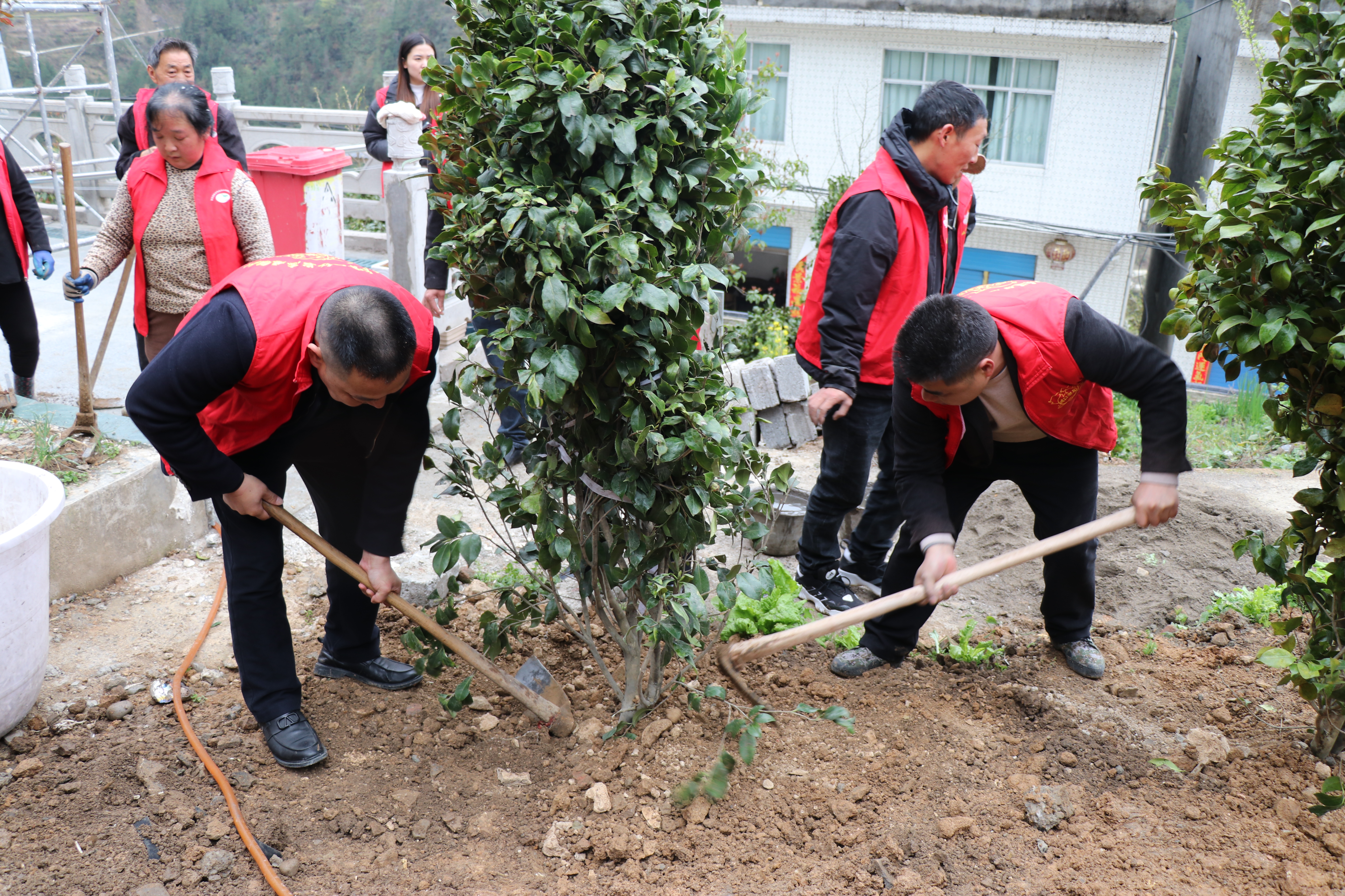 3.22日龙泉村植树节.JPG