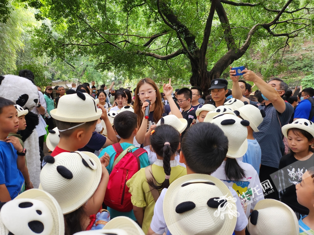 学生们参加动物园的大熊猫知识抢答。记者 林楠 摄