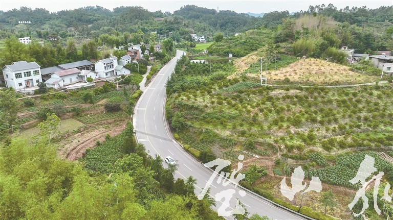 建设“四好农村路” 助力乡村振兴