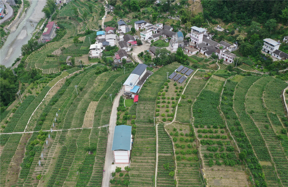 桃花村的田园美景。摄影：卢先庆