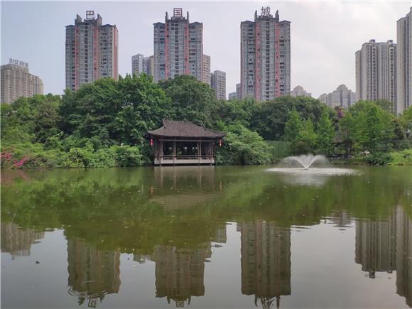 巴国城生态公园内的湖水也更清澈，一眼望去很是舒心，让人感到生活的美。通讯员 范永根 摄