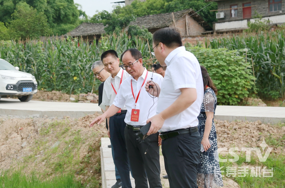 区政协专题视察高标准农田建设1.jpg