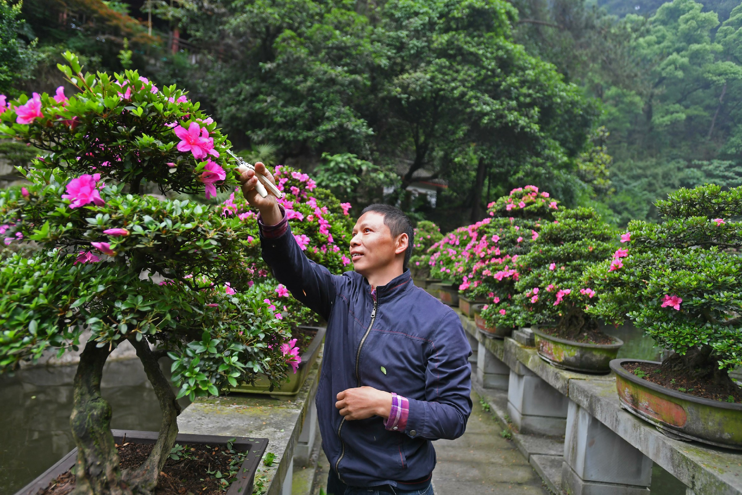 双龙村盆景(250341)-20230712143526~1.jpg