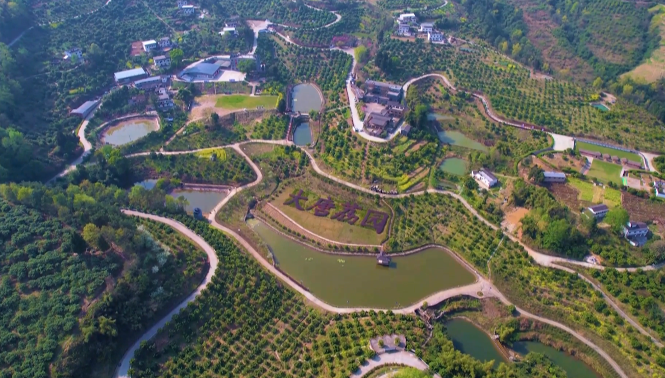 QQ截图20230715153557.png