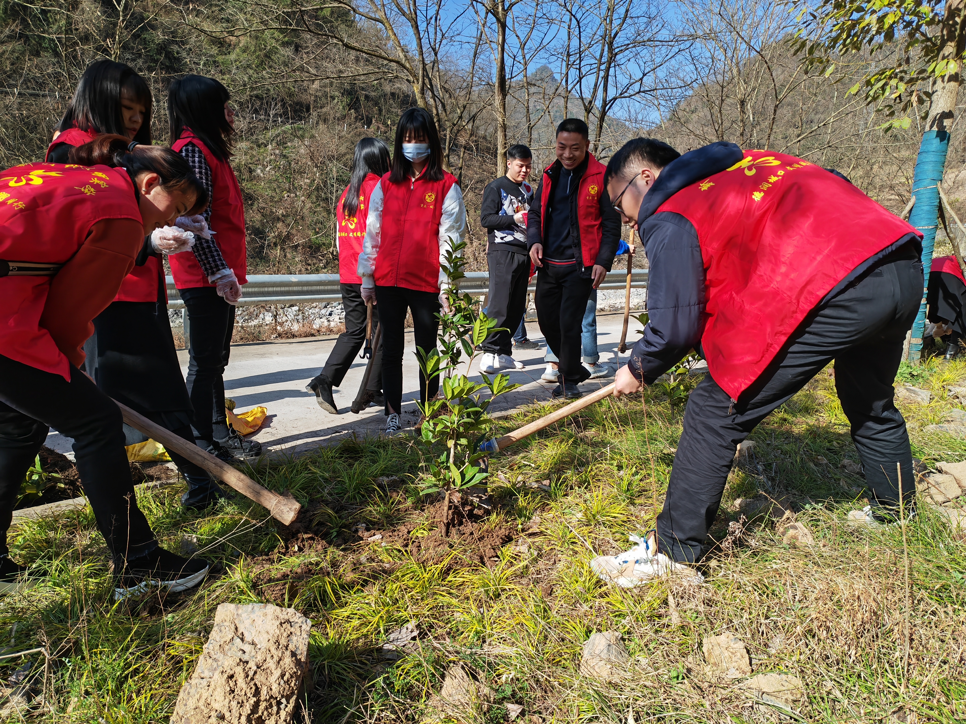 参加帮扶村修齐镇茶丰村植树活动.jpg