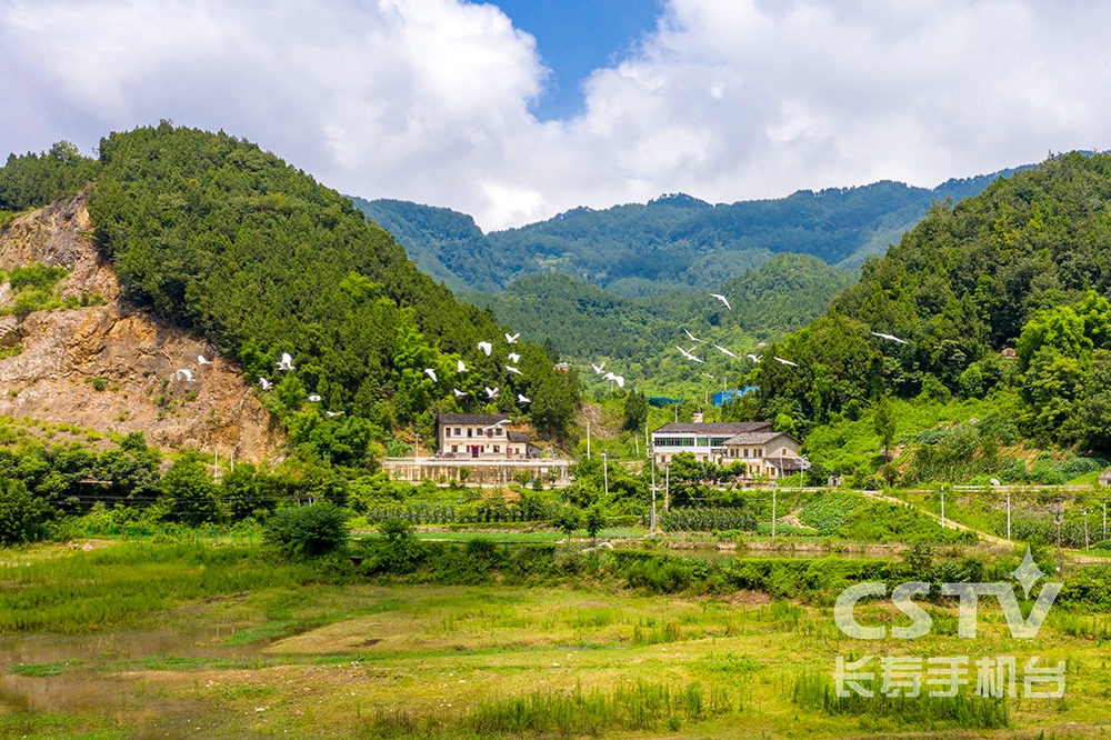 三条沟水库重现碧波荡漾3.jpg